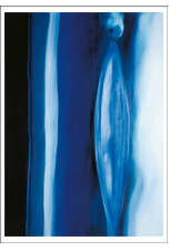 Bild: Erich Kraft, Kunstpostkarten. Titel:   Metamorphose I