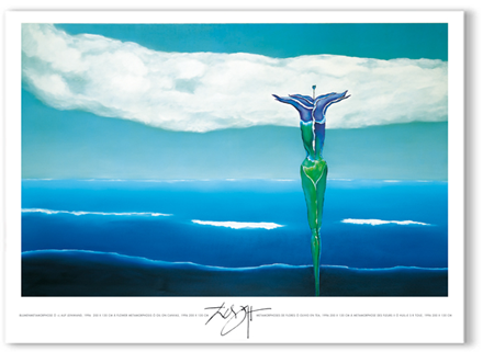 Bild: Erich Kraft Kunstdruck, Poster Blumenmetamorphose