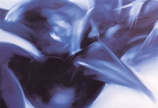 Erich Kraft - Vogelmetamorphose III