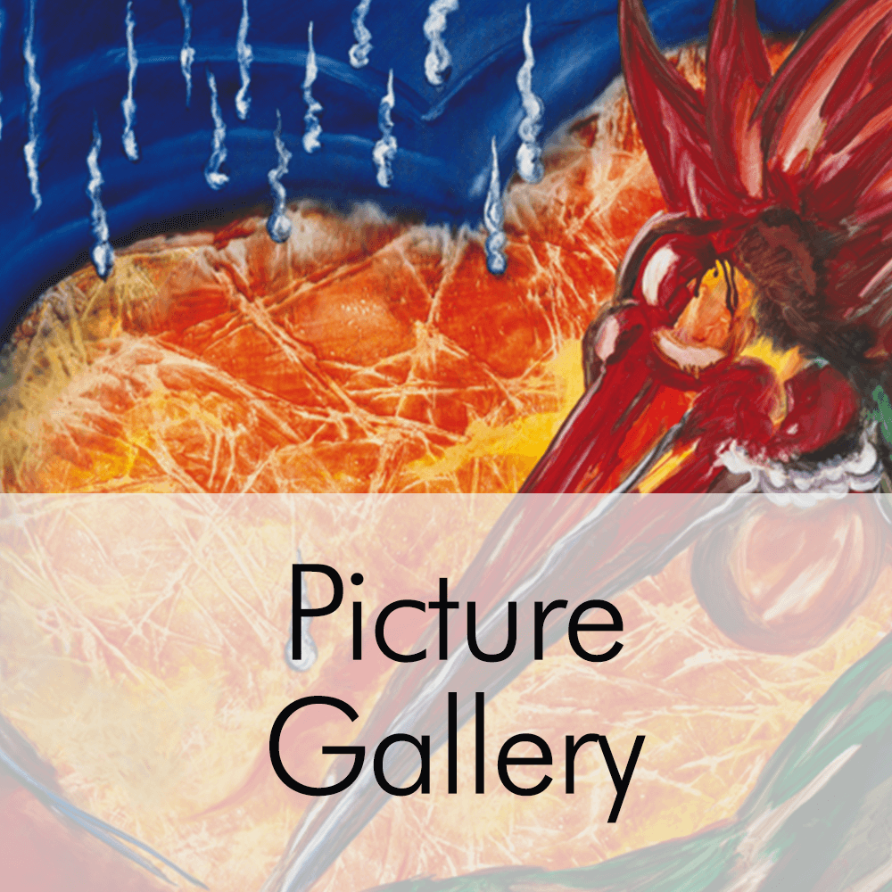 This is the link to the digital picture gallery