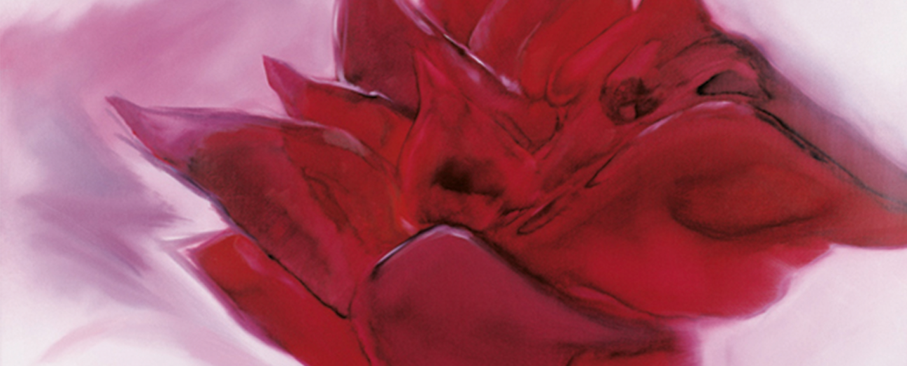 Bilderleiste der Seite Widerrufsrecht der Site Kraftkunst.de